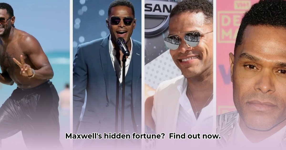 net-worth-of-maxwell